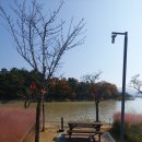 차와사람 이미지