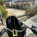 대신농약할인마트 | [대마도 히타카츠 마트] 자전거로 벨류마트 오우라점 방문 후기 (거리·가격·구매리스트)