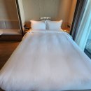 동해물가든 | 강릉 숙소 / '신라모노그램 강릉 레지던스 '-내돈내산[디럭스 더블 가든 오션뷰]