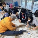 스타트드림 이미지