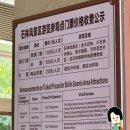 석림3로 | 중국 쿤밍 유네스코 세계자연유산 석림 후기 및 입장료, 팁 포함