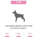 365열린동물약국 이미지