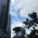 Pre-MNL: 현대해운 해외이사 후기 - 실전편