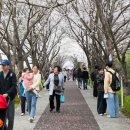 강서청소년쉼터 이미지