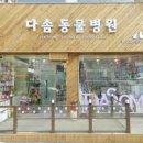 다솜동물병원 네이버블로그