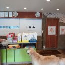 허그도그 이미지