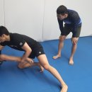 알파레슬링 네이버블로그