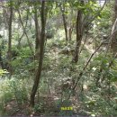 밀성한우 이미지