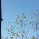 하늘연 캠핑장 이미지