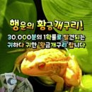 소중한지금 이미지