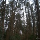 고성장수물 이미지