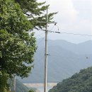 전봇대
