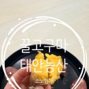 안면도농산 | 태안농산 해남고구마 꿀고구마 고구마추천 겨울간식 리뷰