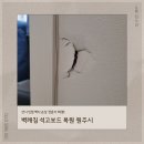 관악-현장-관악-01-157 | 벽깨짐 석고보드 복원 원주시 샷시 인접 벽지 손상 전문가 해결