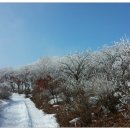 삼둔 이미지