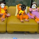 벼리키즈풀빌라 이미지