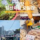 고양시문촌9종합사회복지관 | 고양 가볼만한곳 일산시장 오일장 3,8일 장날 먹거리 주차꿀팁