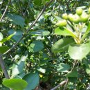 빛가람농장 이미지