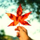 봉천 한의원 이미지