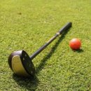 MS | 대전 파크 골프 입문자 골프채 추천 미즈노 MS04 구매 후기