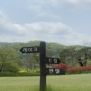 전주샹그릴라CC 이미지