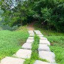 세량제 | [전남 화순] 화순팔경 세량제 #솔직후기