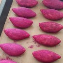 아델리아 이미지