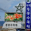 들꽃수목원 이미지