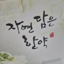 약초화한의원 | 디톡스다이어트 만족스러웠던 가성비다이어트 후기