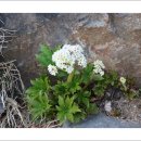 (주)성지메디칼 이미지