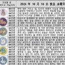 2024년 10월 16일 운세 및 세상 소식 이미지