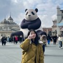 요기나라판다 이미지