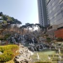 한국신양헬스