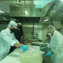 장승포마을관리 사회적협동조합 이미지