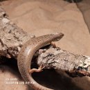 크레산도 - 수성구 알파시티2로3길 48-11 | 크레산도