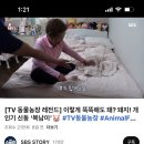 복남농장 이미지