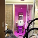 두피건강과 얼굴이 작아지는 셀프마사지 | 힐링 끝판왕 미사 두피관리 웰킨두피탈모센터 하남미사점 후기