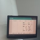 38주) 태산만한 나의 배와 그 이유