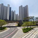 스카이스타부동산공인중개사사무소 이미지