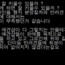 유튜버 도로시 강아지 입양관련 새 영상 업로드 이미지