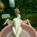 한방닭한마리 이미지