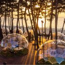 꽃지아일랜드 이미지