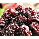 꼼꼼건강 이미지