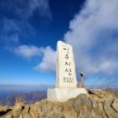 2026년 7월19일 (셋째주 일요일) 영동 민주지산 (1,242M ) 이미지