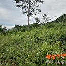 카페솔라시도 이미지