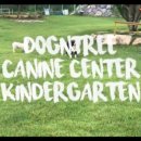 독앤트리 이미지