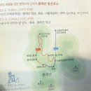 팔영산편백치유의숲주차장1 | 편백숲 투어 및 비교 (팔영산 편백치유의 숲 vs. 외나로도 편백숲) #팔영산 편백치유의 숲 #외나로도...
