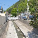 회성동113 이미지