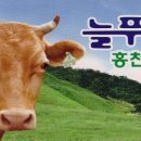 늘푸름개발 이미지