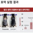 맥 이미지
